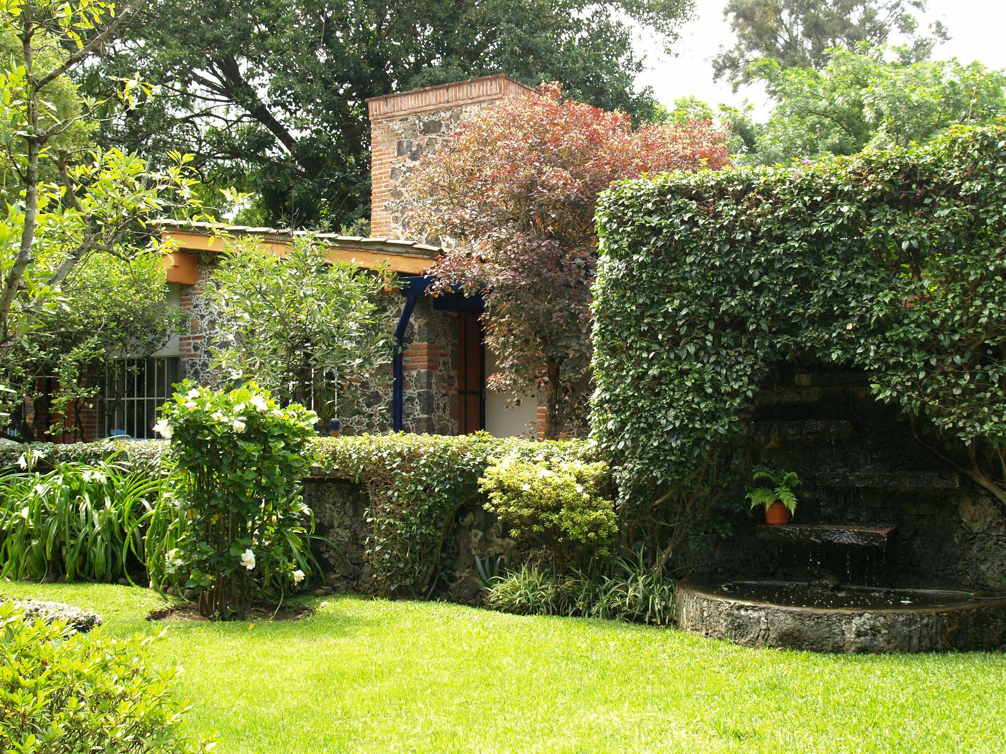 Hotel La Posada Del Valle (Adults Only) Tepoztlán Exterior foto